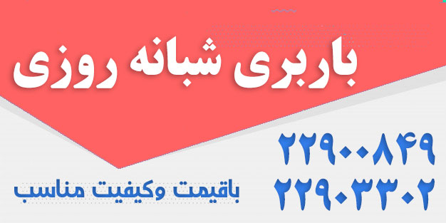 باربری شبانه روزی