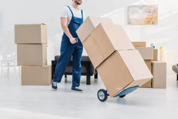 یسته بندی اشیاء قیمتی جابجایی اشیاء عتیقه
